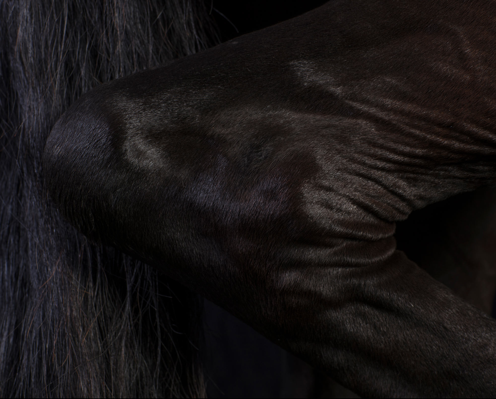 Background 4